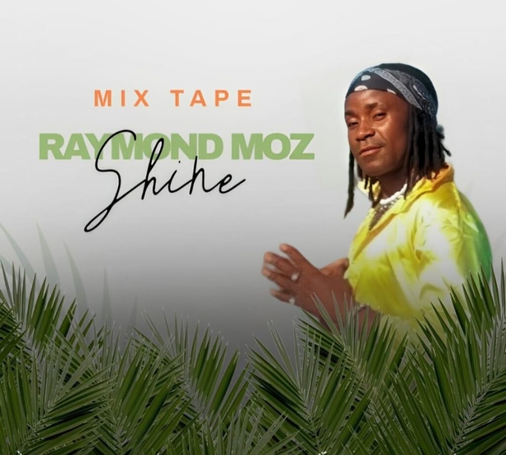 Raymond Moz - Shine (Remix)